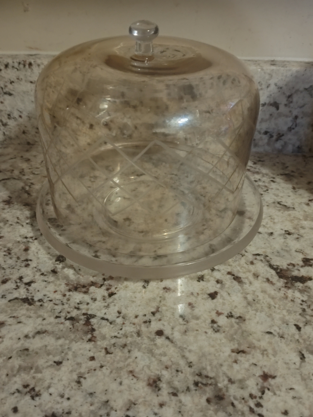 Glass Dome Butter Dish with Etched Diamond Pattern - Clear